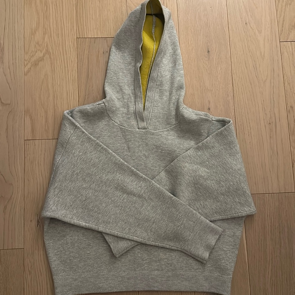 Anthropologie oversized hoodie (never worn)